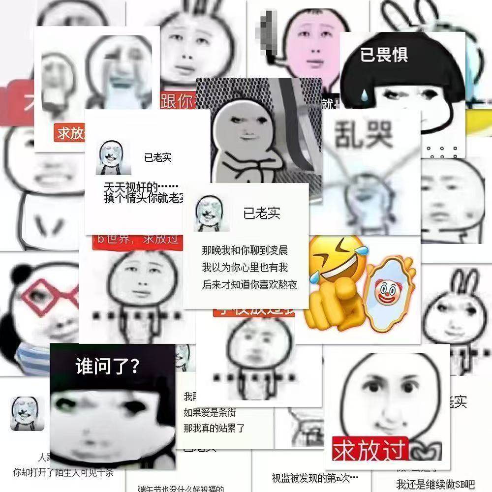 108张沙雕爆笑表情包贴纸已老实求放过玩梗还我妈生diy手机笔记本