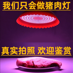 led生鲜灯超市水果店专用灯蔬菜吊灯市场冷鲜肉灯熟食灯 猪肉摊灯