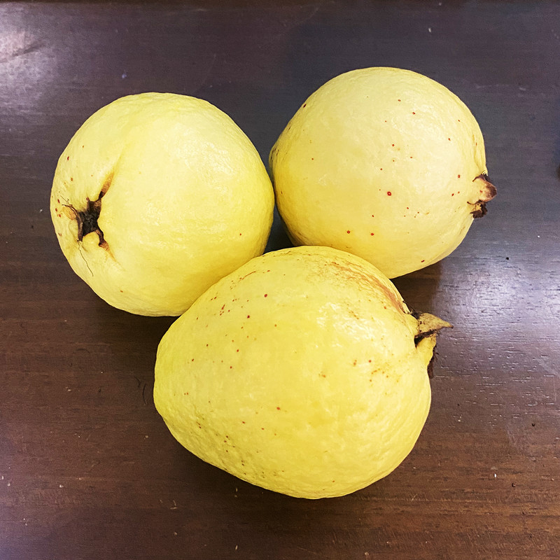 新鲜稀有水果黄金奶油芭乐冰激凌口感白心番石榴5斤当季孕妇包邮