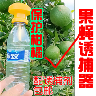 果蝇诱捕器果园菜地瓜果实蝇针蜂瓜蝇引诱剂捕抓器 水果拒绝斑点