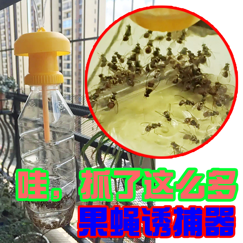 4月季节来了！果蝇诱捕器果园菜地瓜果实蝇针蜂 果蝇引诱剂内含捕