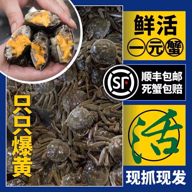 活蟹70只送10只鲜活1一元蟹河蟹小螃蟹闸蟹六月黄香辣蟹公母包邮 水产肉类/新鲜蔬果/熟食 大闸蟹 原图主图