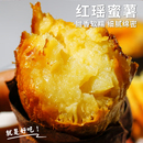 红瑶蜜薯红天使红薯烤地瓜番薯软糯香甜白薯板栗玛莎莉 出口日本