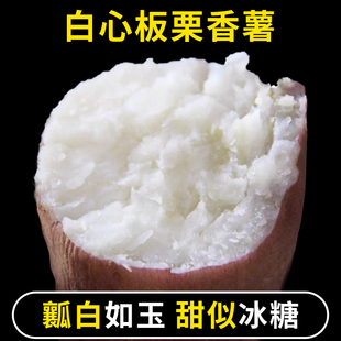 东北哈密冰糖薯新鲜白心板栗白薯面蜜薯白玉地瓜沙地农家瓦房店
