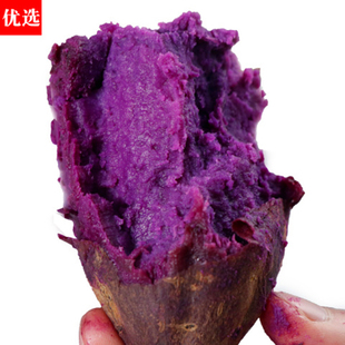 【精品】新鲜现挖紫薯板栗大连农家自种沙地东北瓦房店地瓜旗舰店