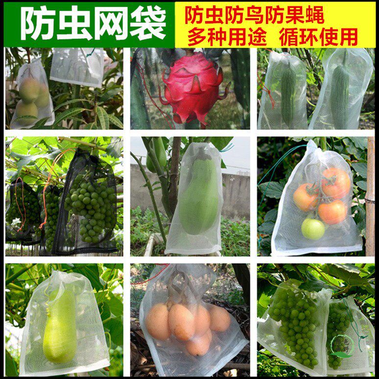 水果防虫袋防鸟网袋 瓜果葡萄火龙果防果蝇套袋尼龙网袋浸种子袋