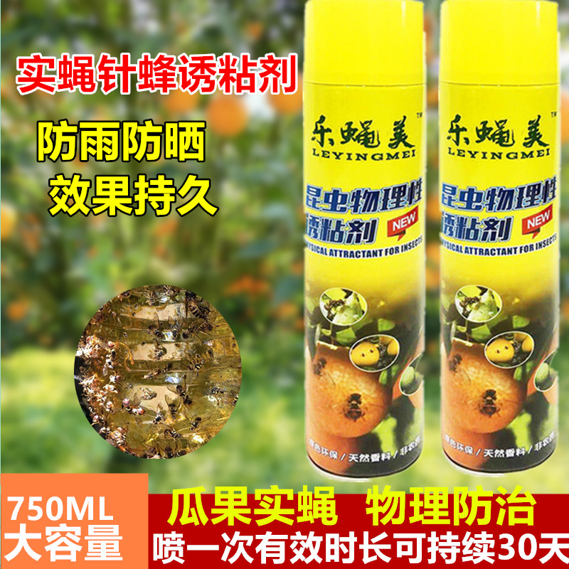 瓜果实蝇针蜂粘剂昆虫诱捕
