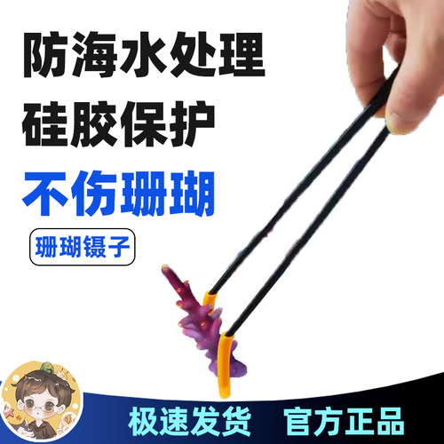镊子珊瑚长镊子不锈钢