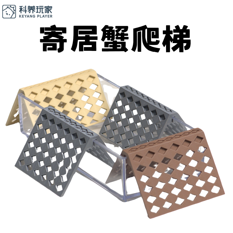 【寄居蟹爬梯】3D打印防溺水梯子攀爬玩具透明泡澡盆垫脚石造景,宠物/宠物食品及用品,爬宠清洁及日用品,淘宝优惠券,粉丝福利购,淘宝优惠卷