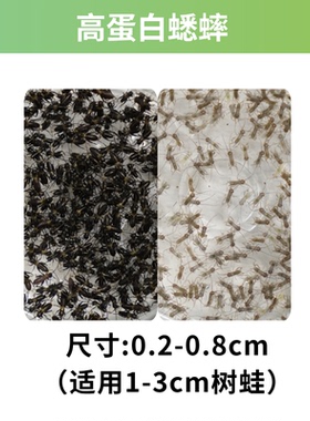 【树蛙食物】针头白蟋蟀姥爷树蛙角蛙高蛋白食物爬宠爬虫营养饲料