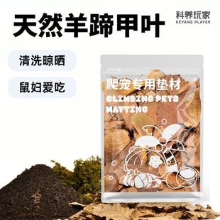 【鼠妇垫材羊蹄甲叶】宠物西瓜虫营养土垫材爬宠造景香槟树皮叶