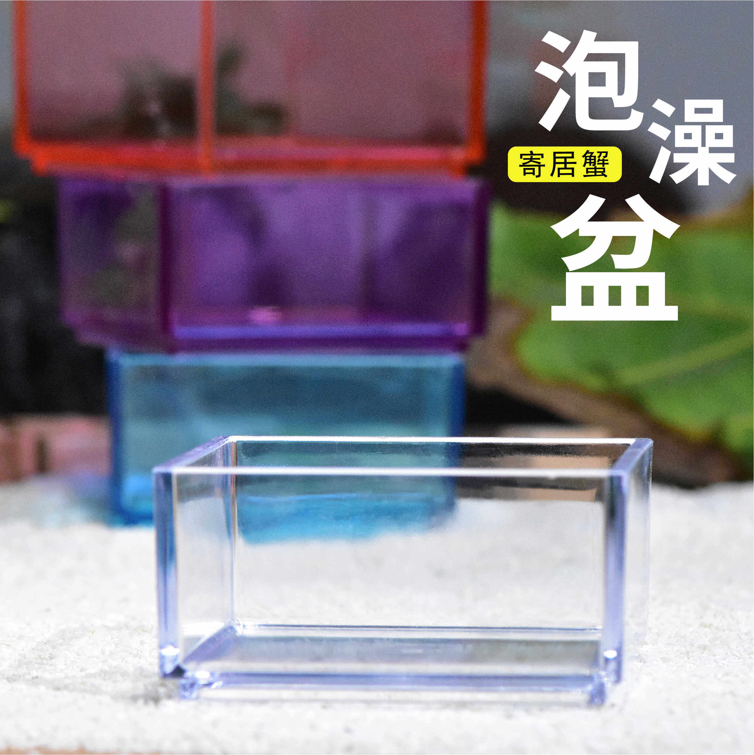 【泡澡水盆】寄居蟹中华沙蟹洗澡盆喝水盆亚克力材质游泳池防溺水