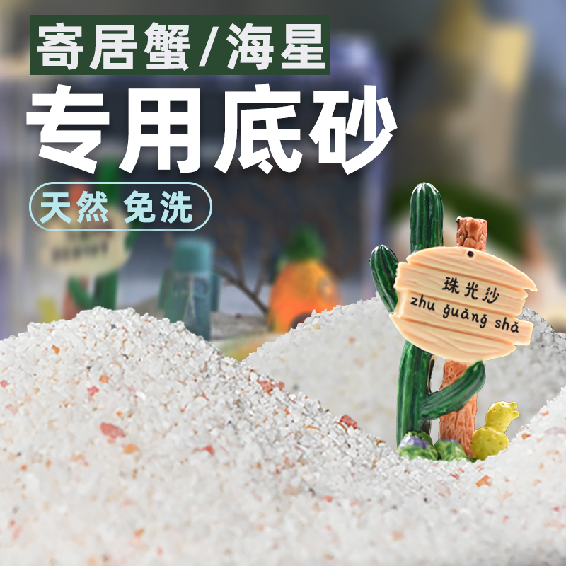 【海星专用沙】珠光砂海星专用砂底砂免洗造景珊瑚砂鱼缸造景,宠物/宠物食品及用品,其它水族用具设备,淘宝优惠券,粉丝福利购,淘宝优惠卷