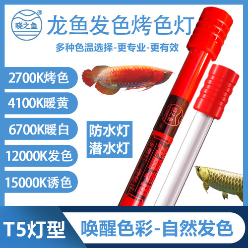 晓之鱼T5龙鱼专用发色灯鱼缸灯