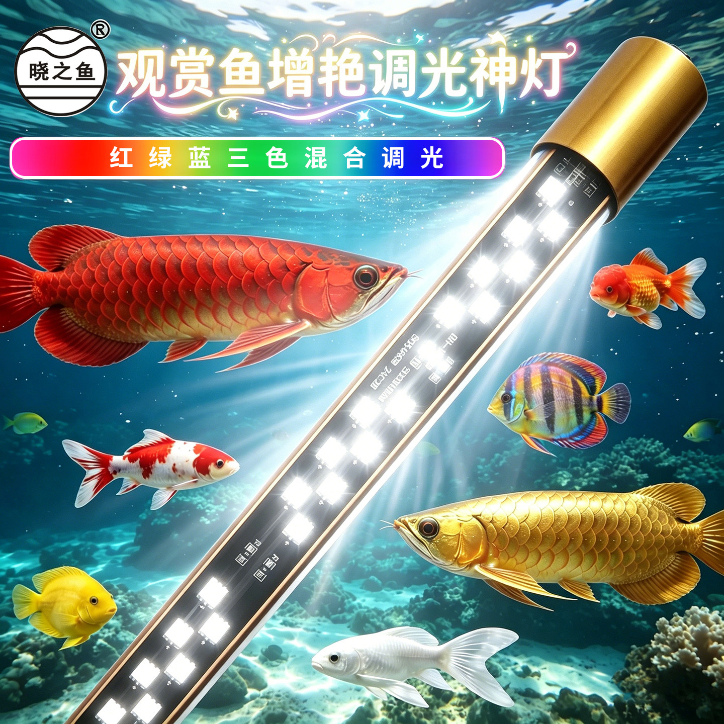 晓之鱼鱼缸增艳调光神灯三基色变色鱼缸灯龙鱼锦鲤金鱼增色led灯