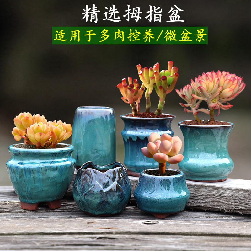 多肉花盆拇指陶瓷特小号超迷你老桩花盆小口径控养批发清仓特价