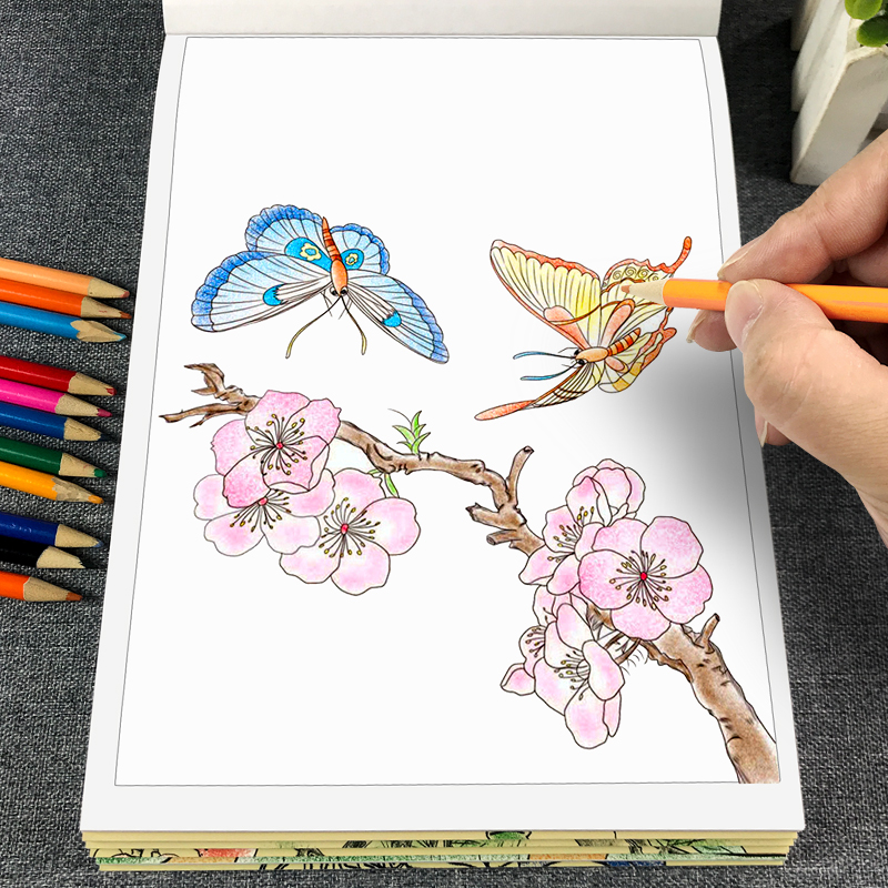 儿童线描临摹画册中国画白描