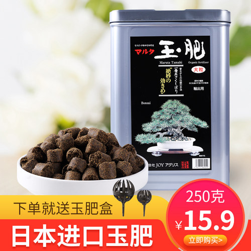 盆景肥料长效素材模板 盆景肥料长效图片下载 小麦优选