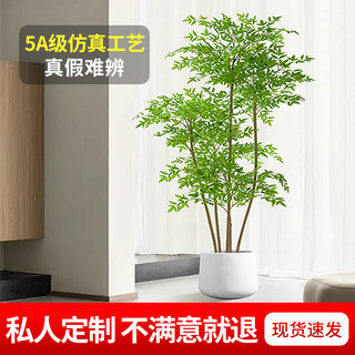 仿真植物南天竹办公室大型仿生绿植室内摆件客厅轻奢装饰花仿真树