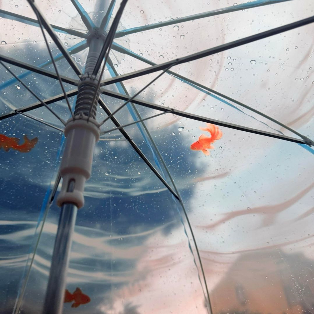 雨伞长柄高颜值ins风小鱼梦幻晴雨两用夏日限定梦境金鱼磨砂