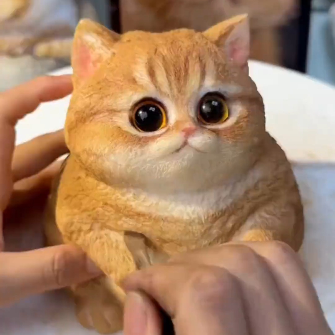 DIY仿真猫咪自制上色新款白胚胖猫解压玩具创意礼物摆件肥猫