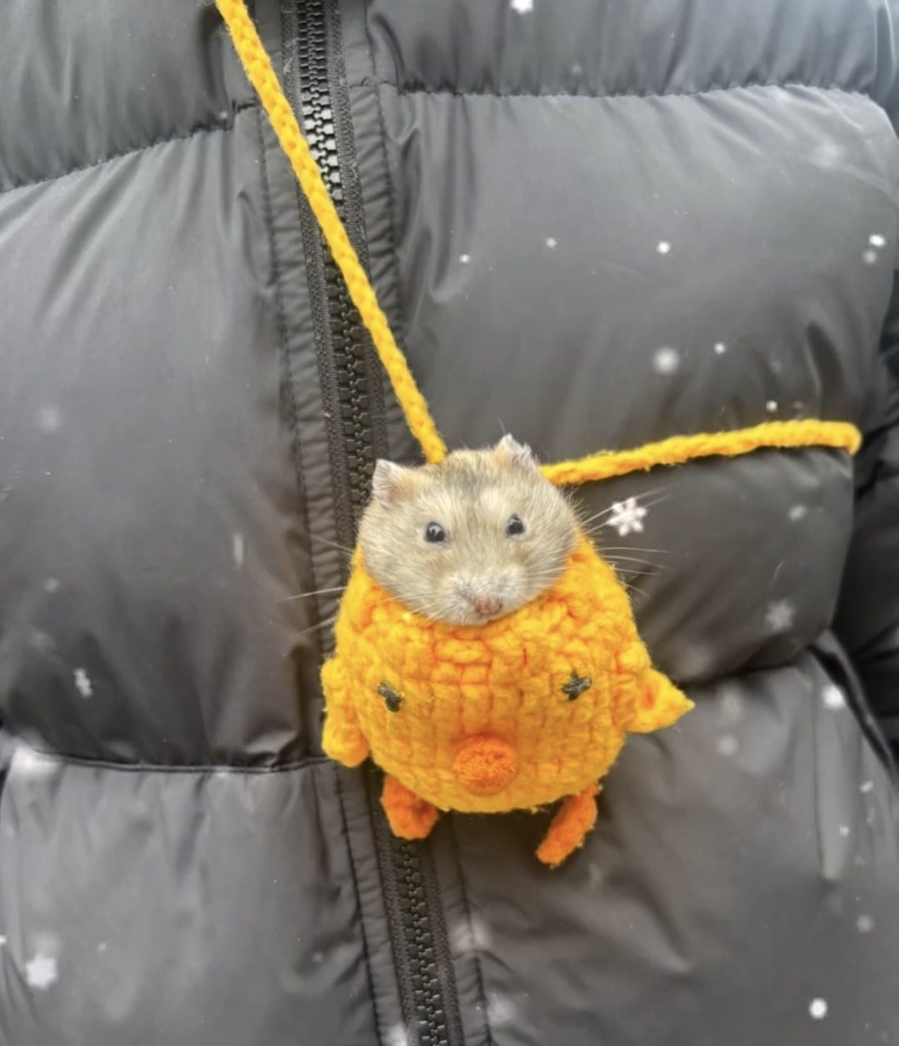 可爱斜挎包包小鸡网袋迷你仓鼠外带蛋袋新款2026DIY成品纯手工,服饰配件/皮带/帽子/围巾,DIY编织材料包,淘宝优惠券,粉丝福利购,淘宝优惠卷