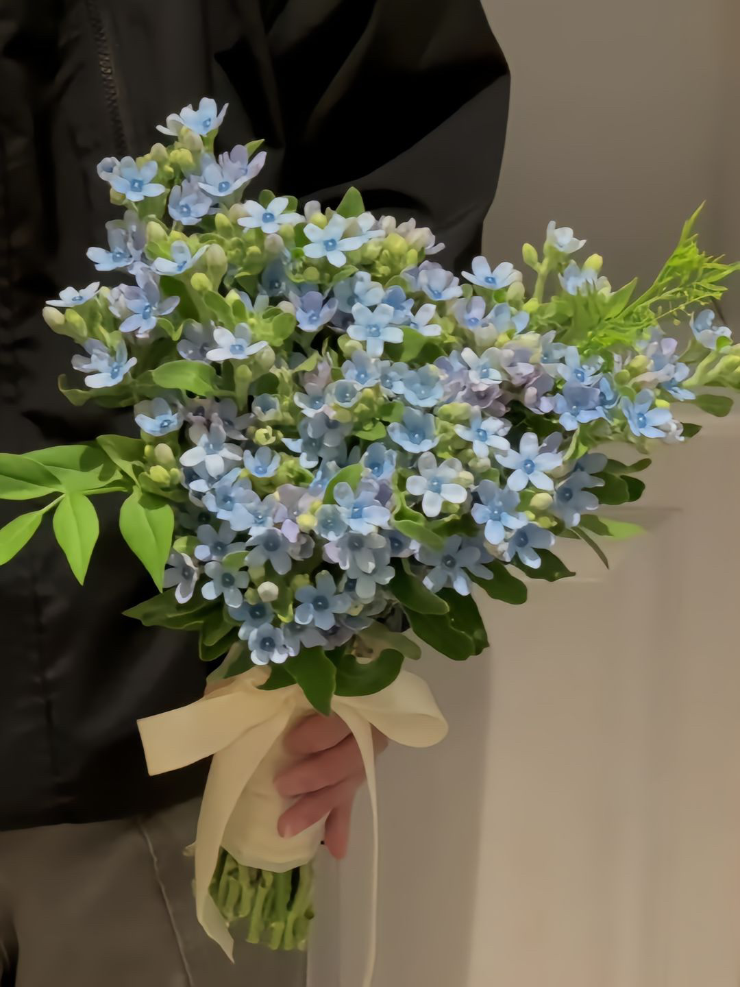 蓝星花鲜花室内水培绿植配花配草插花蓝心花鲜切花送好友礼物