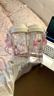 HelloKitty塑料水杯大容量夏天可爱女生高颜值2025新款 新款 吸管杯