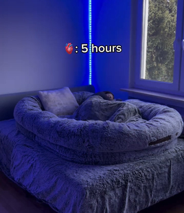 人类狗窝懒人狗床懒人沙发床人睡巨大狗窝猫窝可拆洗狗床