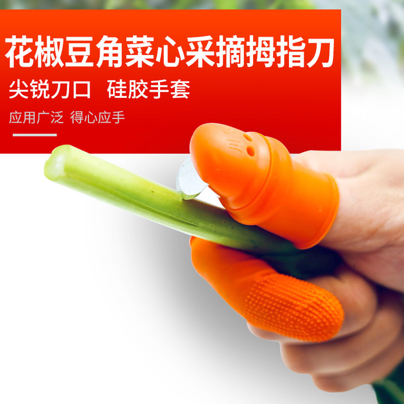 摘菜神器摘豆角拇指刀摘