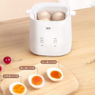 煮蛋器蒸蛋器专用婴儿家用小型迷你蒸蛋羹机蒸蛋煮蛋神器自动断电