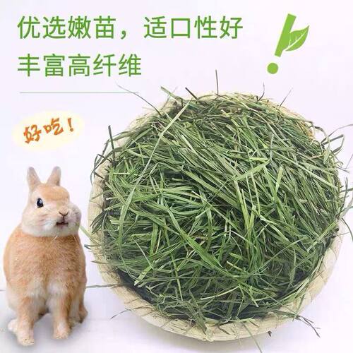 20年新草兔草兔子提草500g饲料