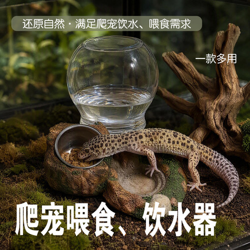 爬宠守宫喂水喂食器树脂仿岩石造景水盆食盆蜥蜴角蛙龟缸装饰