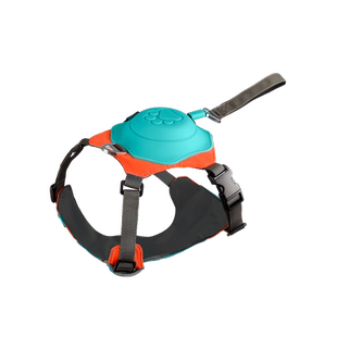 工字型胸背狗狗子小型犬小泰迪博美专用牵引绳溜狗可伸缩马尔济斯