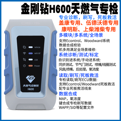 金刚钻金刚钻H600天然气专检