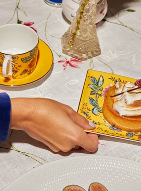 WEDGWOOD威基伍德漫游美境杯碟组骨瓷欧式咖啡杯碟下午茶杯碟套装