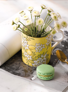 WEDGWOOD威基伍德茶香花园骨瓷马克杯复古杯子欧式茶杯咖啡杯家用