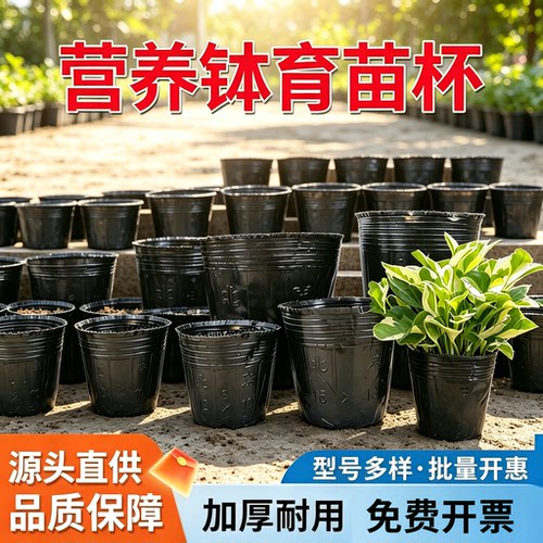 加厚抗老化黑色育苗营养袋