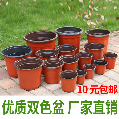 双色营养钵塑料育苗盆一次性