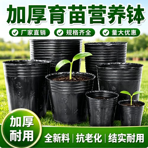 农用加厚抗老化塑料育苗杯批发
