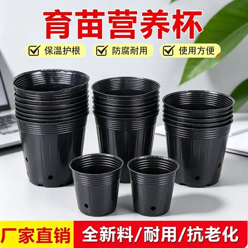加厚黑色塑料营养钵育苗杯