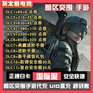 Arena Breakout国际服代充 暗区突围不上号 点券礼包通行证充值