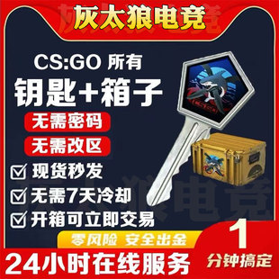 csgo2箱子加钥匙变革武库热潮画廊梦魇千瓦变革武器箱钥匙自开号