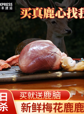 东北特产吉林梅花鹿鹿心整只新鲜鹿心带心血心管鹿场直销冷链运输