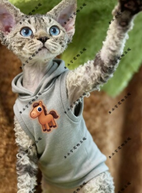 大眼小马两脚衣猫咪萌宠猫衣宠物红色圆领灰色黑色连帽卫衣