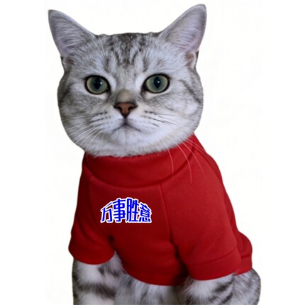 万事胜意新款衣服萌宠猫衣服宠物服装红色圆领灰色黑色连帽卫衣
