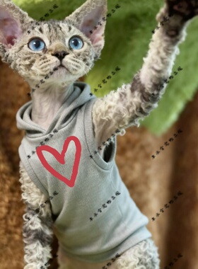 粗边暖意心两脚衣猫咪萌宠猫衣宠物红色圆领灰色黑色连帽卫衣