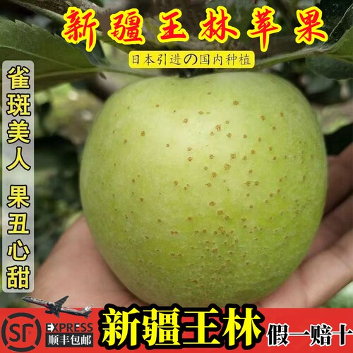 新疆青森王林苹果正宗阿克苏青苹果丑奶油日本水果当季新鲜雀斑果