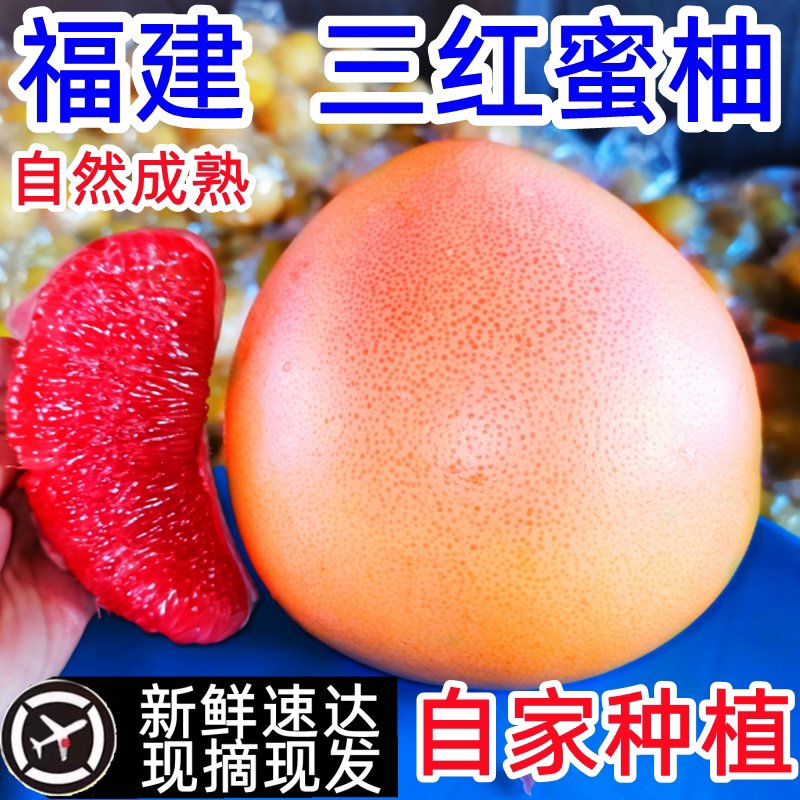三红蜜柚管溪福建平和官