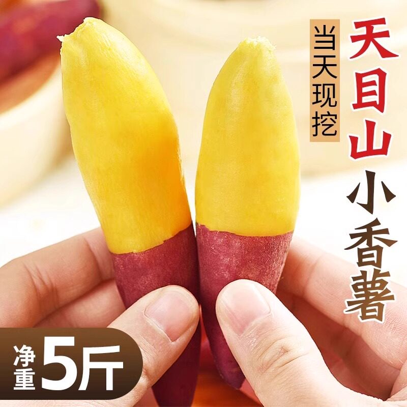 天目山小香薯5斤临安正宗